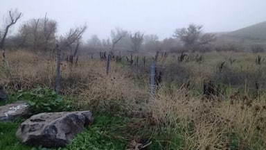 Stop on the side of the road. Easy pull off and back on. You could possibly see birds of prey, song birds, elk, rabbits, coyotes or other wildlife. Today it was fog.
