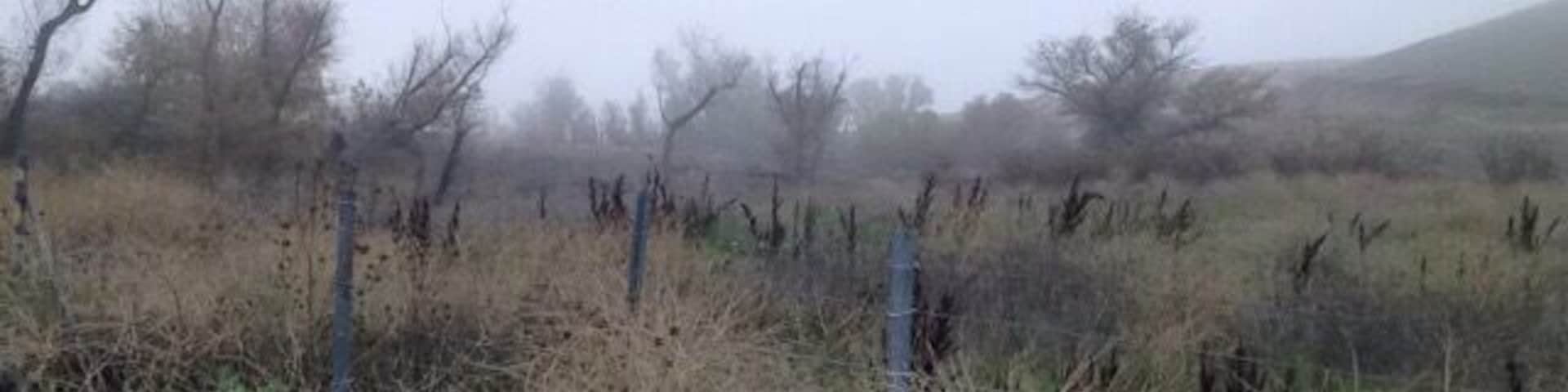 Stop on the side of the road. Easy pull off and back on. You could possibly see birds of prey, song birds, elk, rabbits, coyotes or other wildlife. Today it was fog.