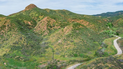 Low hills and canyons with a road leading into the California natural wilderness.
