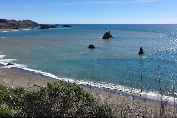 Where the Russian river meets the Pacific Ocean.
