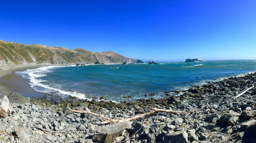 Highway 1 follows the Californian coast