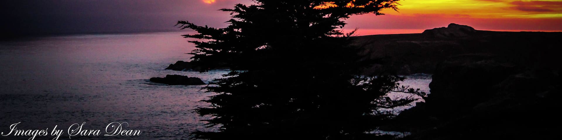 Goat Rock Beach at sunset with the marine layer rolling in. #NaturePhotoContest