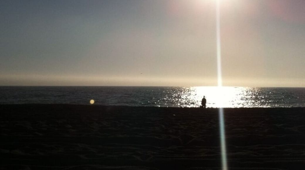 Easy access to beach and views of Goat Rock and hang gliders.