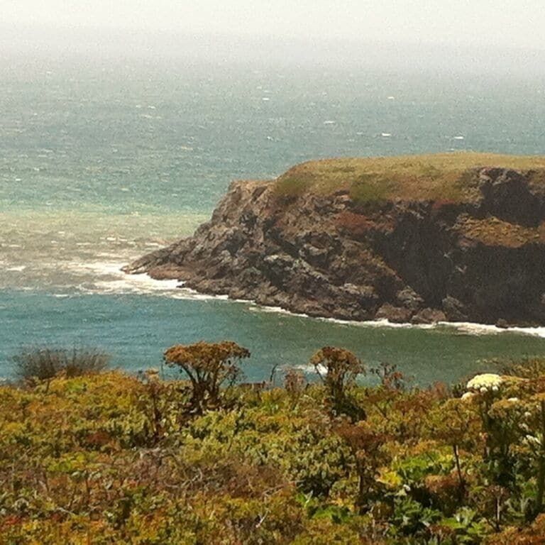 Nice stop along Hwy 1