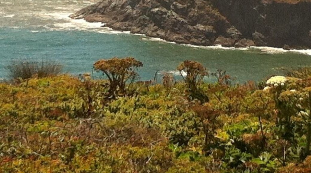 Nice stop along Hwy 1