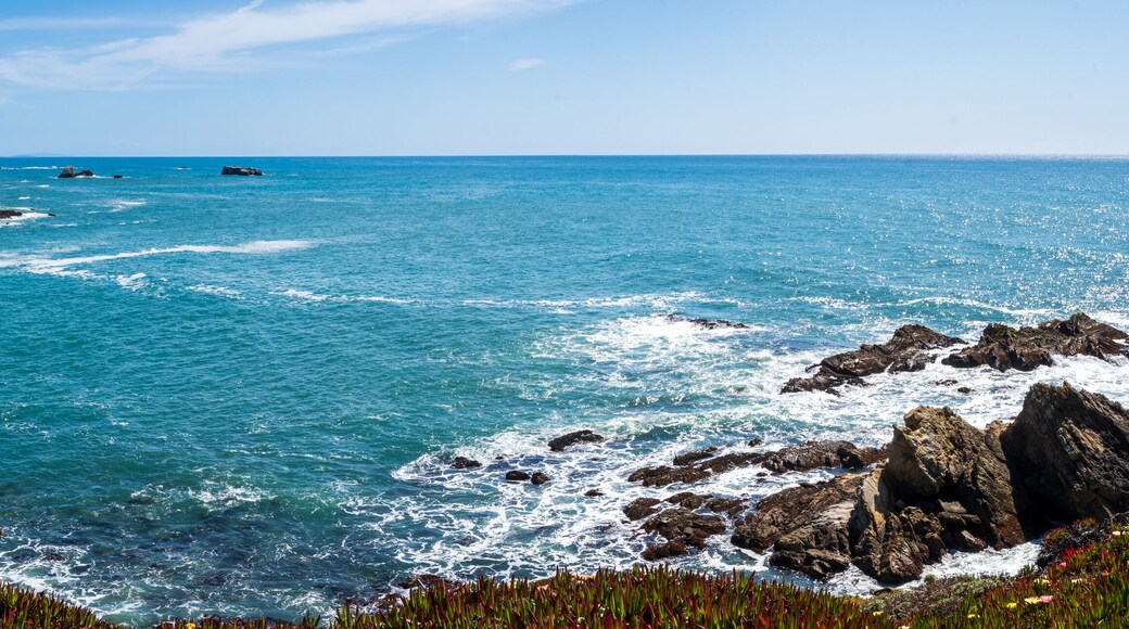 Panorama of the Sonoma County coast. 1x3 panorama.