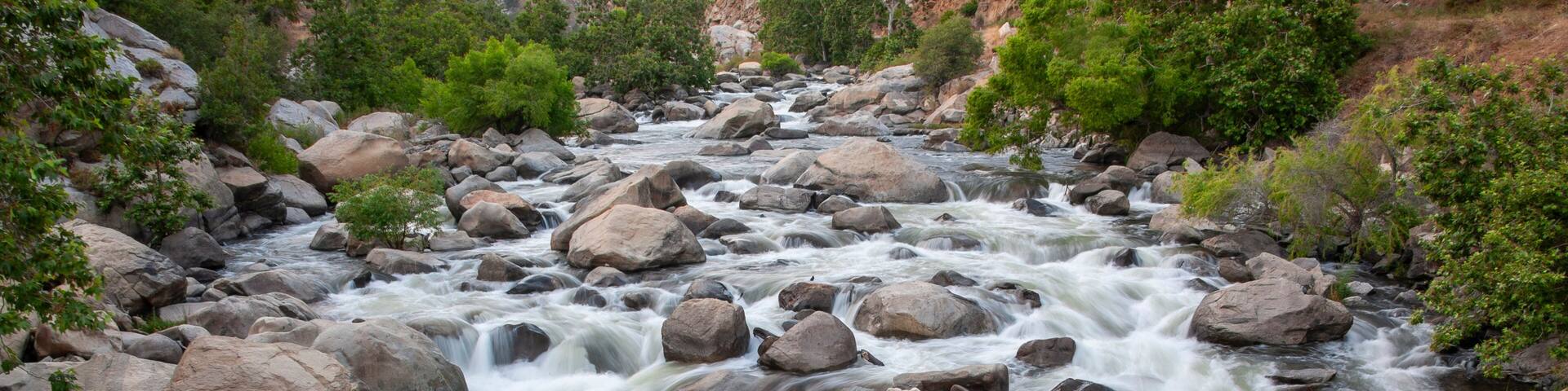Un río de rápido caudal con grandes rocas y vegetación verde a orillas.