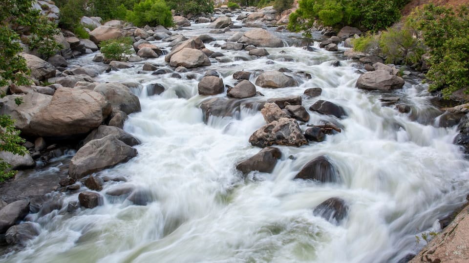 A fast-flowing river with large rocks and green vegetation along the banks.