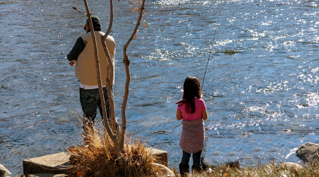 Fishing The Kern 1