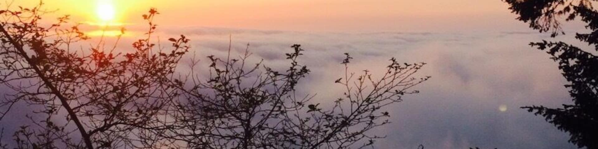 This was a sunset that took my breath away as I was driving back from Oregon. It was like Cali was telling me that Oregon is nice... But California is better :D