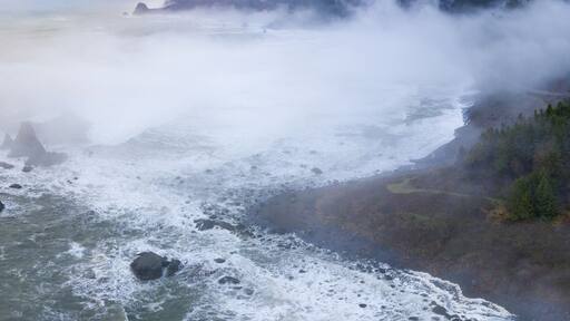 The marine layer drifts over the amazing coastline of Northern California in Klamath. This incredible region is home to the world's most beautiful temperate forests. Redwood trees are common here.