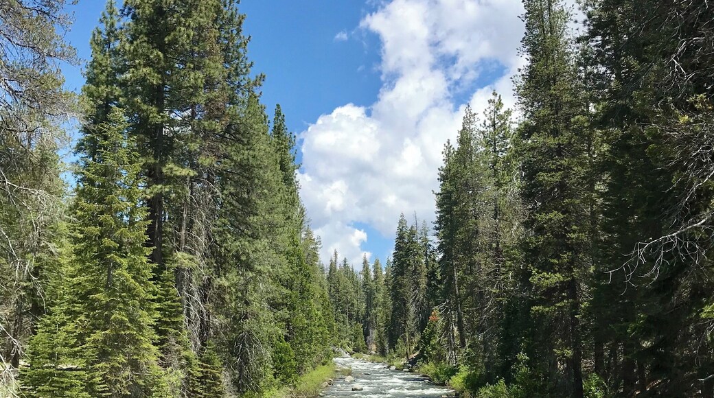 This place is a family favorite! We enjoy a weekend camping trip along with an icy-cold dip in this beautiful creek every summer.