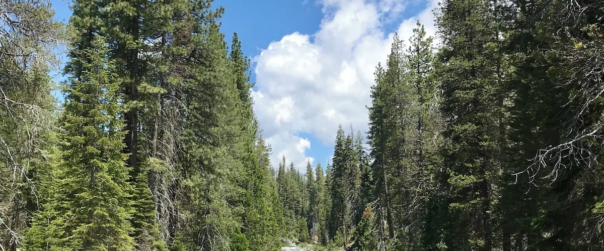This place is a family favorite! We enjoy a weekend camping trip along with an icy-cold dip in this beautiful creek every summer.