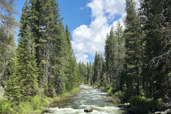 This place is a family favorite! We enjoy a weekend camping trip along with an icy-cold dip in this beautiful creek every summer.