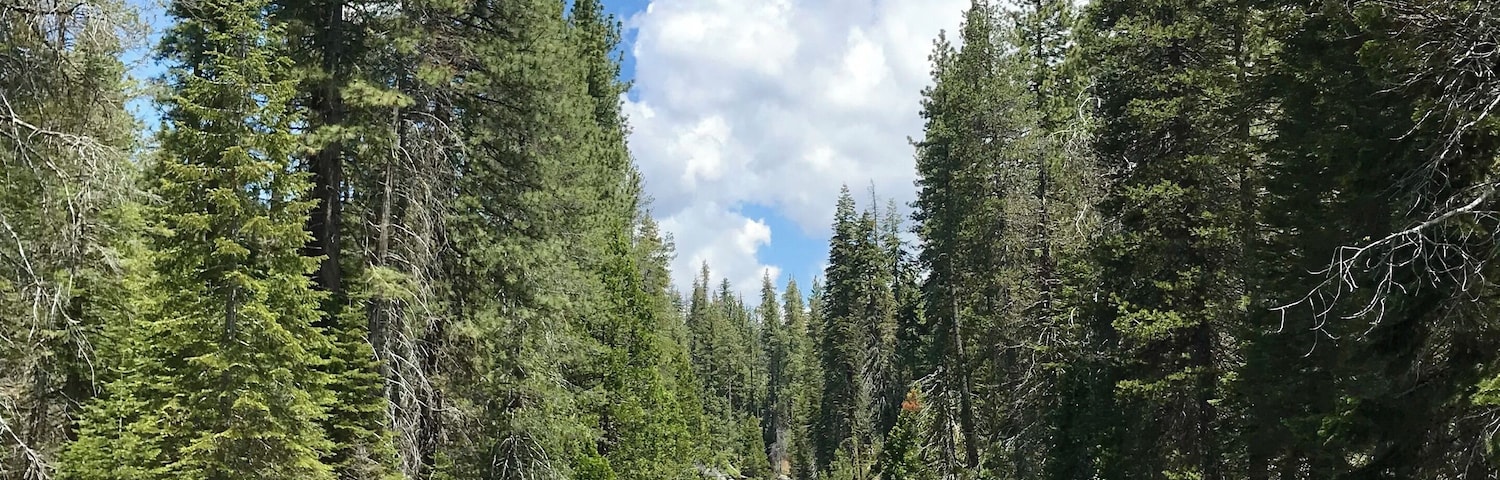 This place is a family favorite! We enjoy a weekend camping trip along with an icy-cold dip in this beautiful creek every summer.