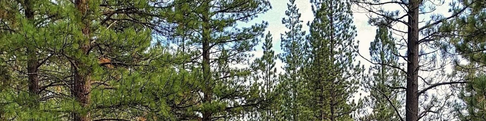 #localgem
Eastern Sierra Nevada's in Markleeville, CA. Hot Springs, water falls and some easy hiking trails.