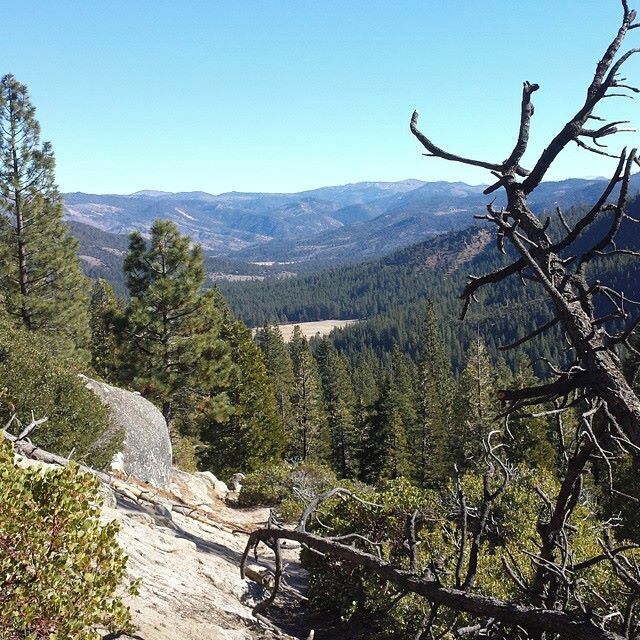 On the trail above Grovers Hot Springs. #alpinecounty #goexplore (http://ift.tt/1Ekmz8j)