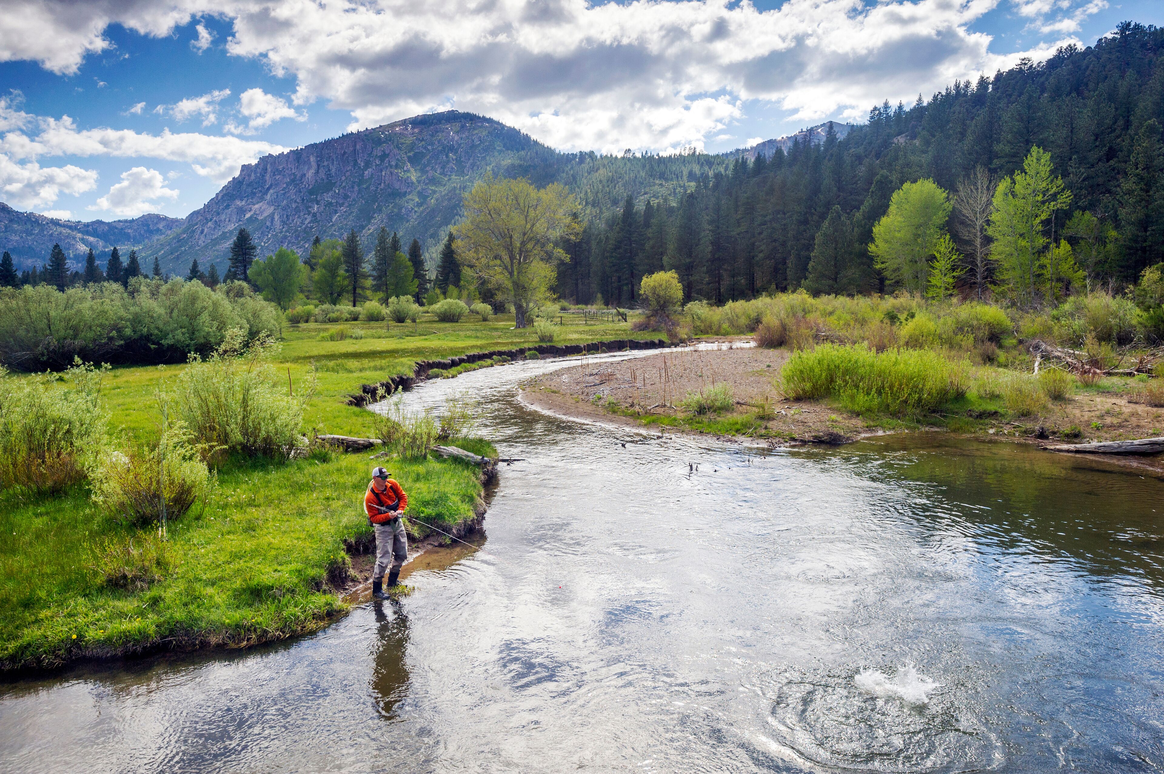 A man, Brendan Burnside, catches a fish fly fishing in Pleasant Valley Creek in Markleeville, California.
