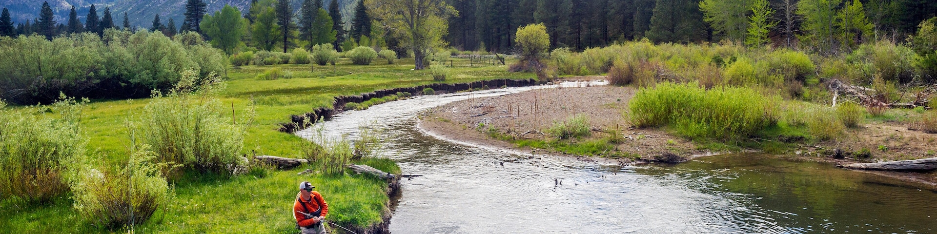 A man, Brendan Burnside, catches a fish fly fishing in Pleasant Valley Creek in Markleeville, California.