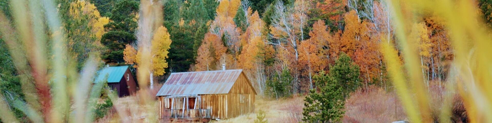 #perspectives
Found the same picture in a cover of Reno Tahoe magazine while in the area and we decided to look for it. It's not very noticeable from the road and a little bit far from where people are going to see fall foliage. Lucky to see a man taking shots of it on the road and we found it!