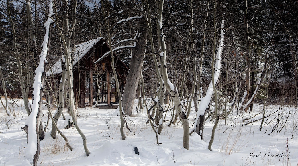 An abandoned cabin along Route 88 in Hope Valley