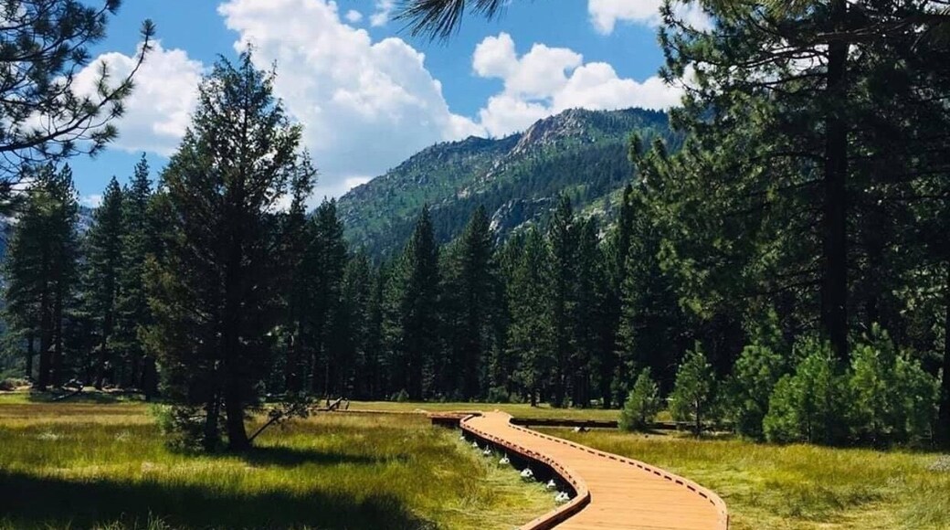 Good place for natural mineral hot spring. Beautiful open field and valley once you arrive. Lovely surroundings and area