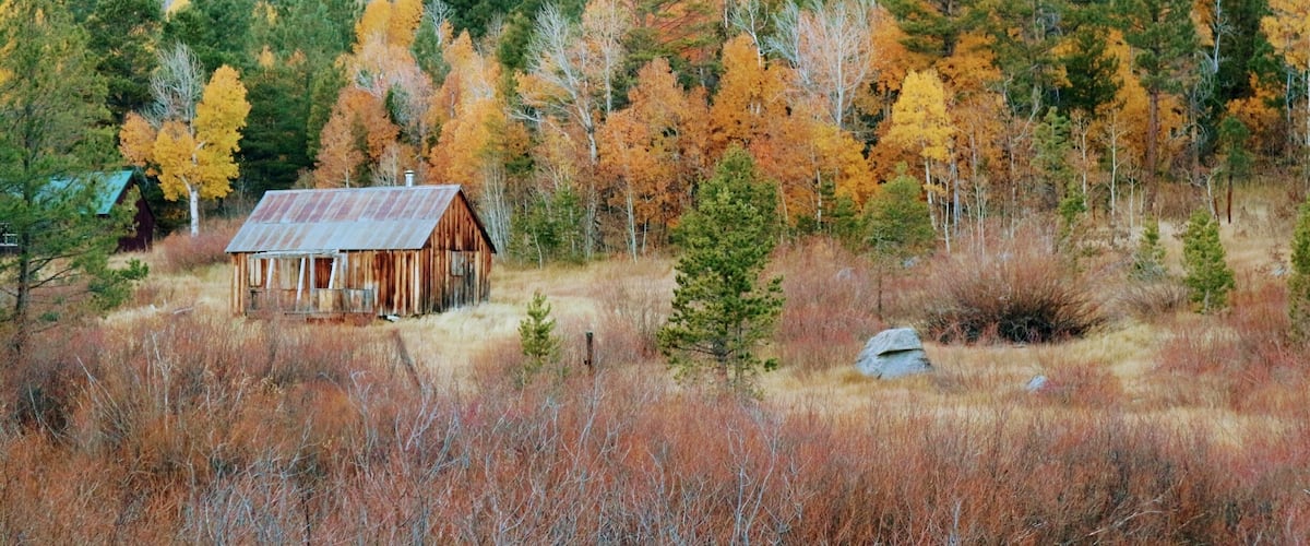 #GreatOutdoors
Found the same picture in a cover of Reno Tahoe magazine while in the area and we decided to look for it. It's not very noticeable from the road and a little bit far from where people are going to see fall foliage. Lucky to see a man taking shots of it on the road and we found it!