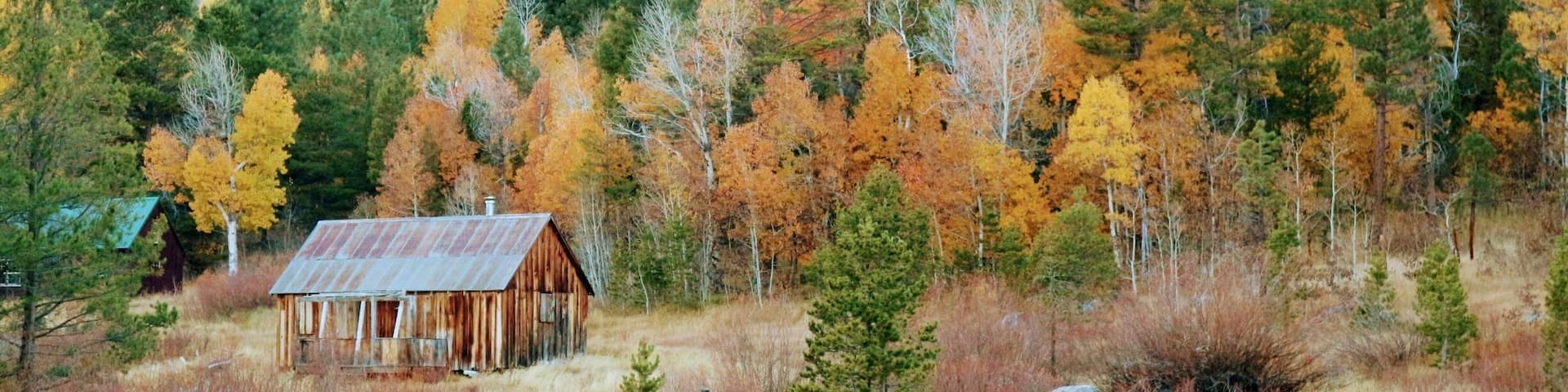 #GreatOutdoors
Found the same picture in a cover of Reno Tahoe magazine while in the area and we decided to look for it. It's not very noticeable from the road and a little bit far from where people are going to see fall foliage. Lucky to see a man taking shots of it on the road and we found it!