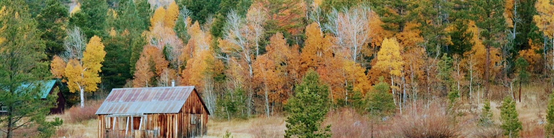 #GreatOutdoors
Found the same picture in a cover of Reno Tahoe magazine while in the area and we decided to look for it. It's not very noticeable from the road and a little bit far from where people are going to see fall foliage. Lucky to see a man taking shots of it on the road and we found it!