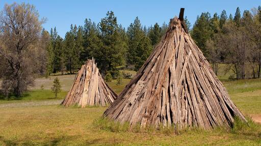 ミウォク ビレッジ