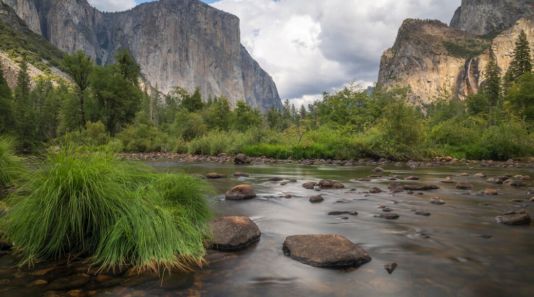 Yosemite valley view, from the banks of the Merced River, with El Cap in the distance
