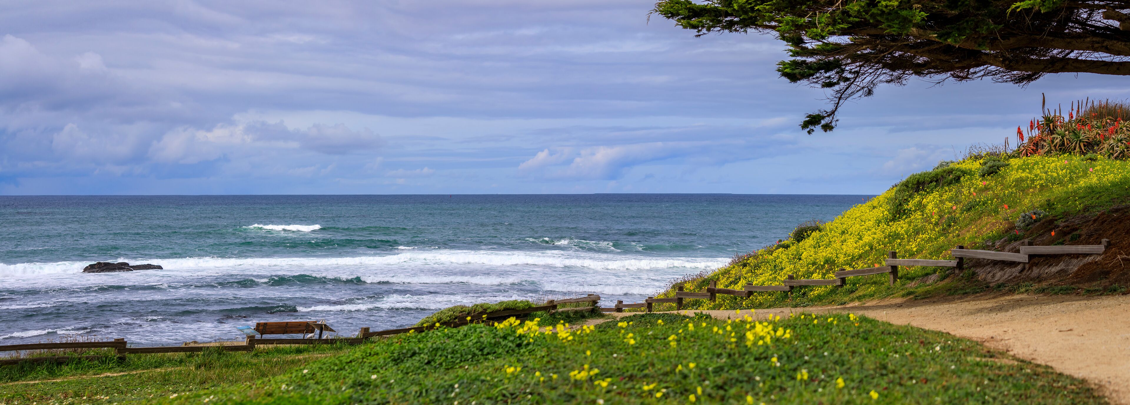 Path leading to the Pacific Ocean in Northern California over a hill with spring flowers, Moss Beach near San Francisco