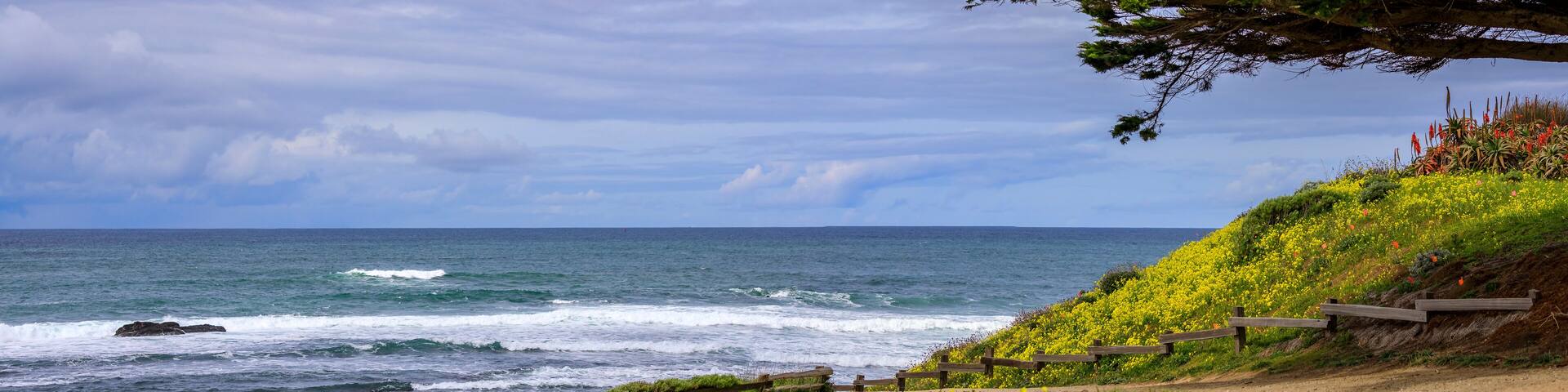 Path leading to the Pacific Ocean in Northern California over a hill with spring flowers, Moss Beach near San Francisco