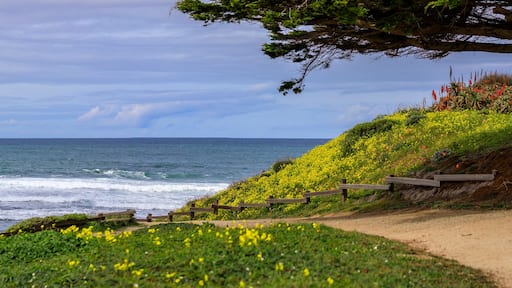 Path leading to the Pacific Ocean in Northern California over a hill with spring flowers, Moss Beach near San Francisco