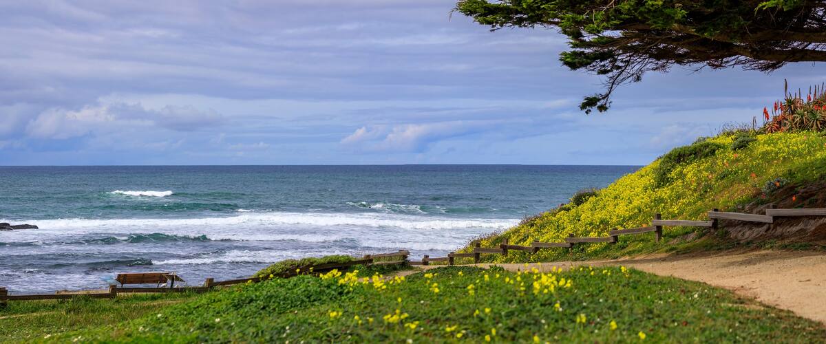 A coastal landscape with a wooden bench overlooking the ocean, a dirt path, and a hillside covered with yellow flowers.