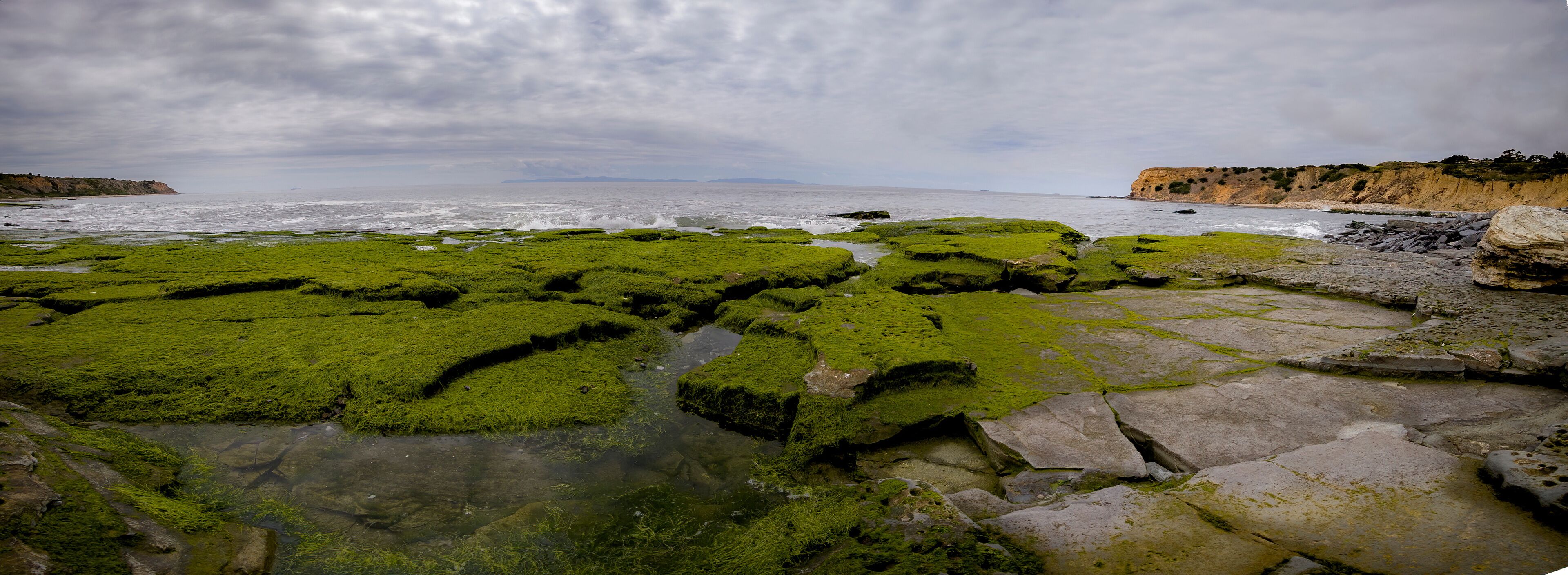 Moss Beach