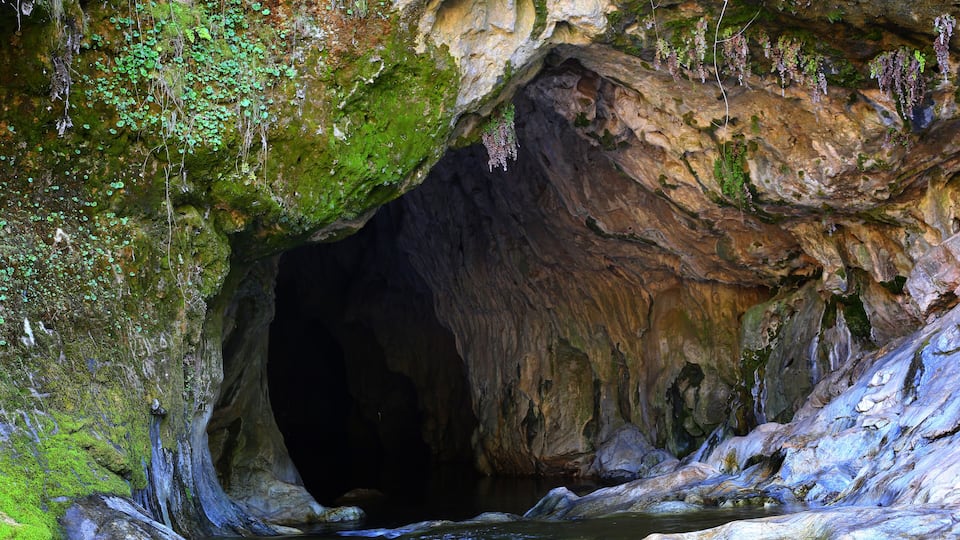 A cave entrance with water flowing into it, surrounded by moss-covered rocks.