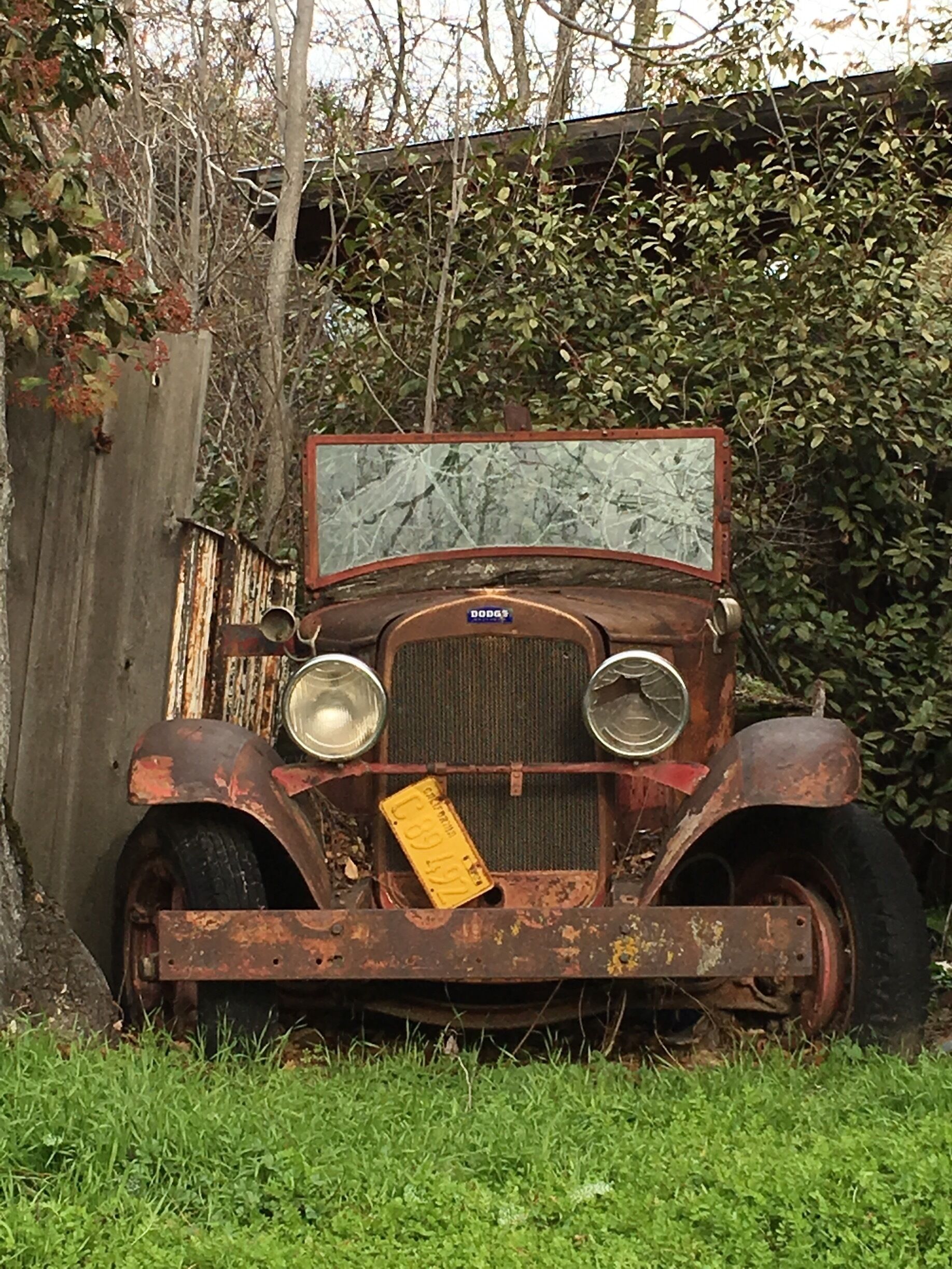 You never know what you will find on a country road in the California foothills. 