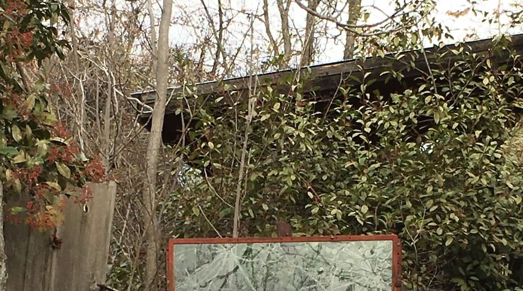 You never know what you will find on a country road in the California foothills.