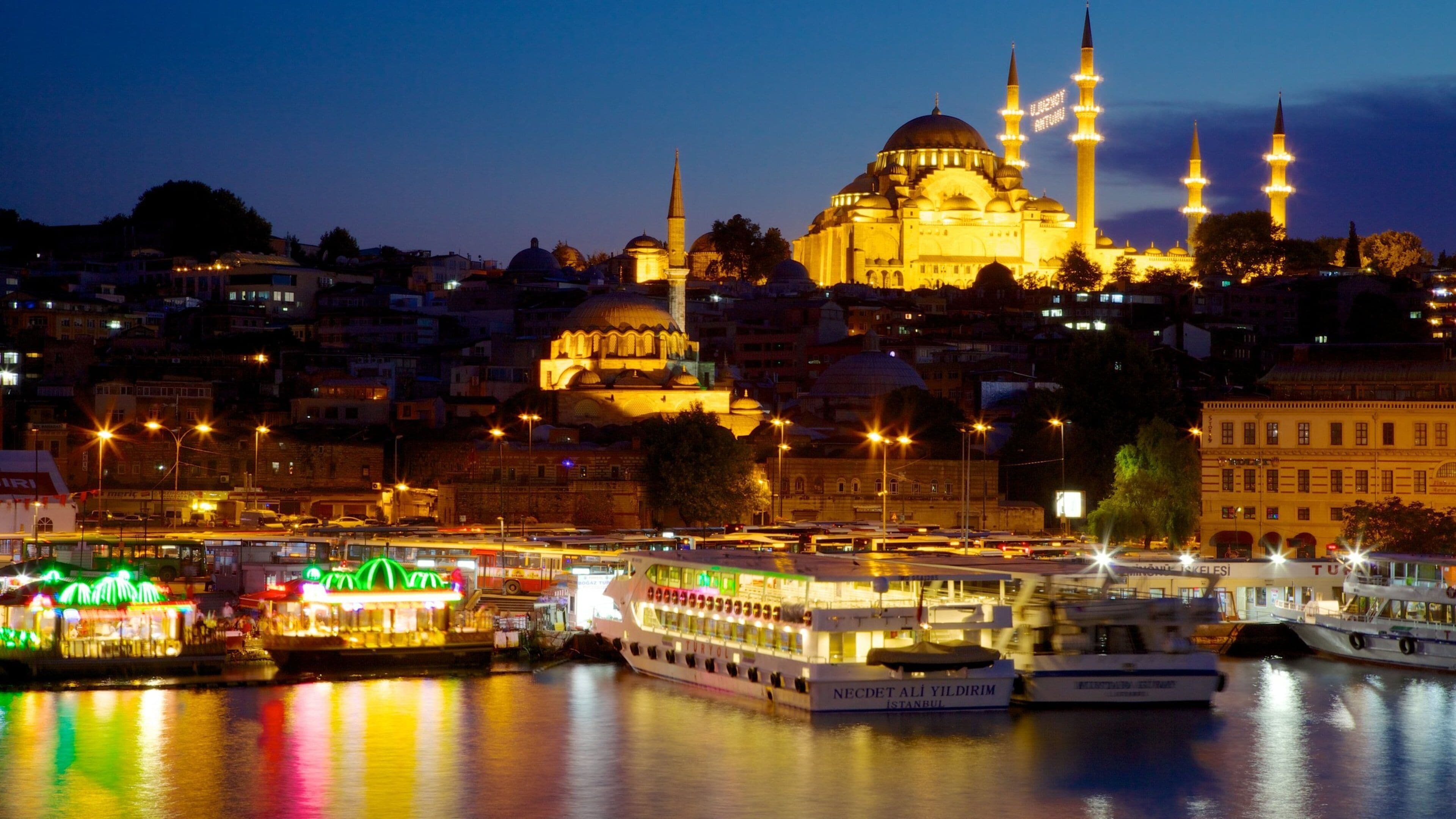 Istanbul featuring a mosque, a city and a bay or harbor