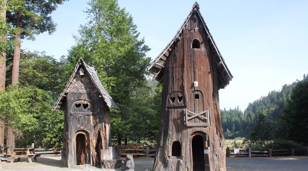 #Shrine Drive-Thru Tree#Colorful #Architecture. #StunningStructures
#roadtrip
Wonderful place to go thru...You'll gonna love it.