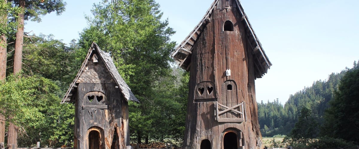 Two wooden birdhouses with heart-shaped windows and a picnic area in a forest.