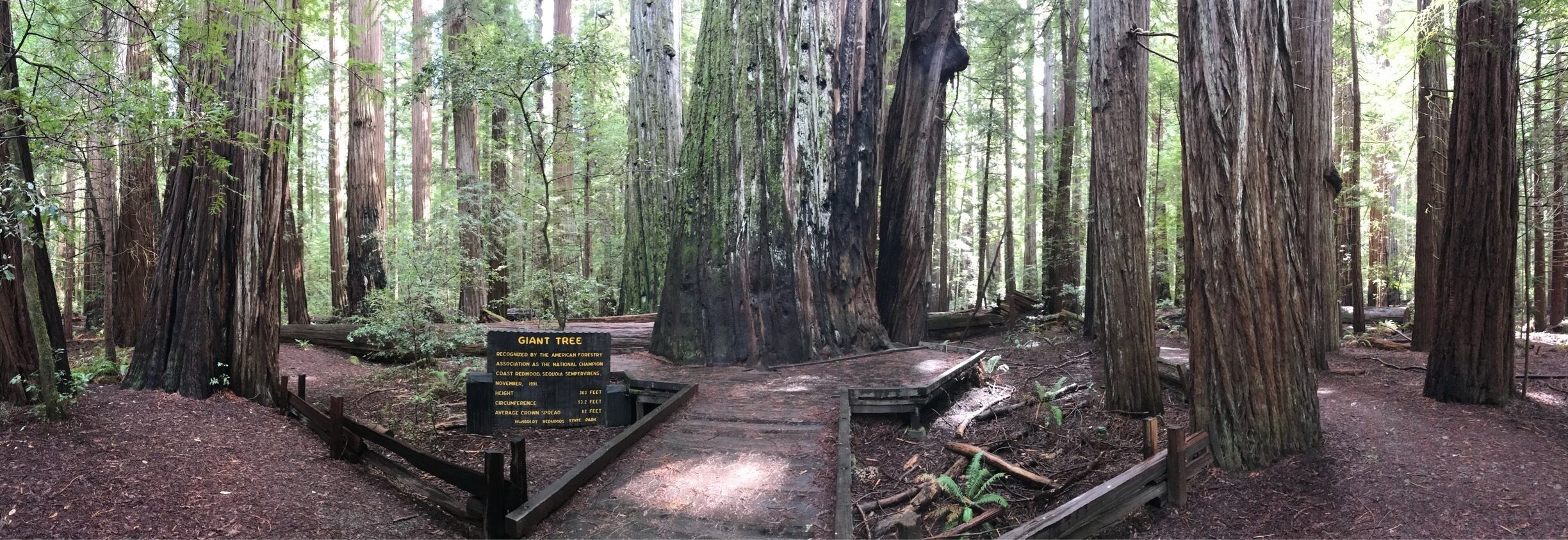 Big.....old......and beautiful