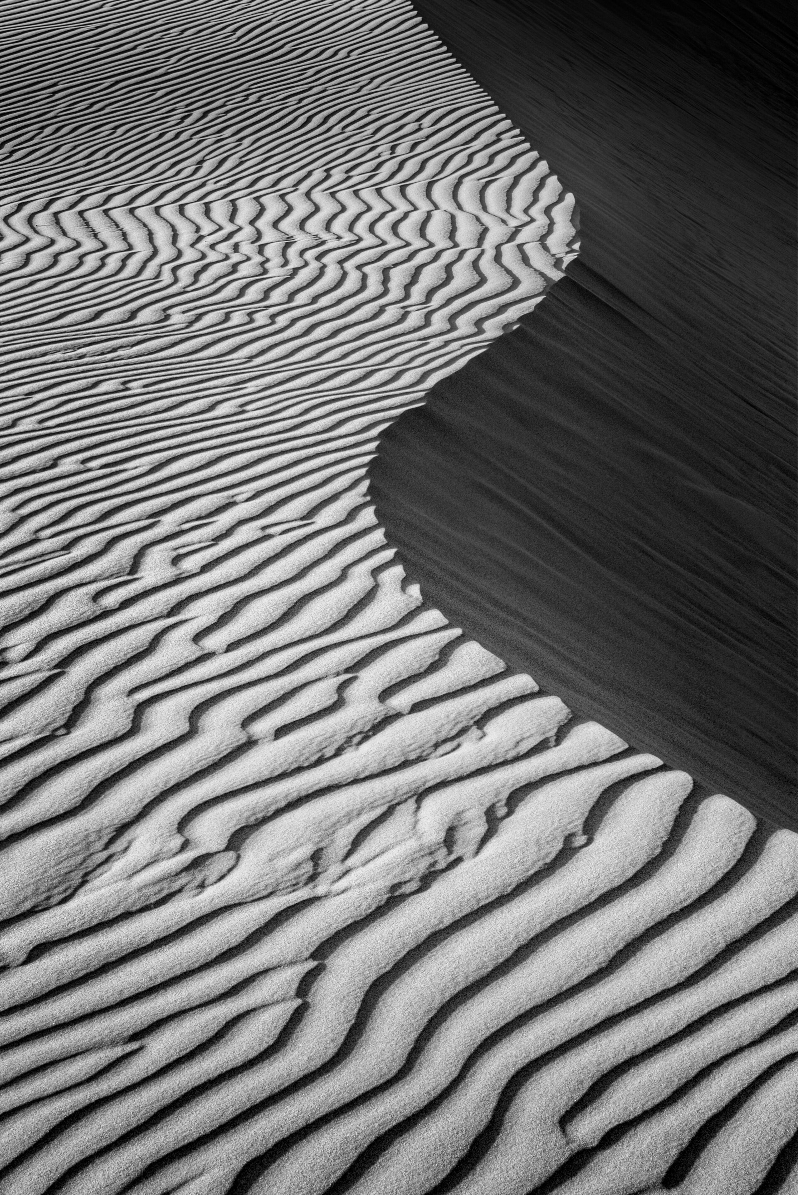 USA, California, Central Coast, Oceano. Sand curves at Pismo State Beach Dune Preserve
