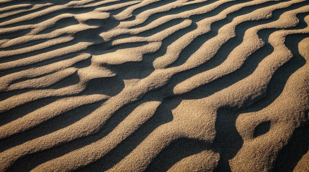 Macro shot of patterns in the sand dunes at Pismo beach, Nipomo