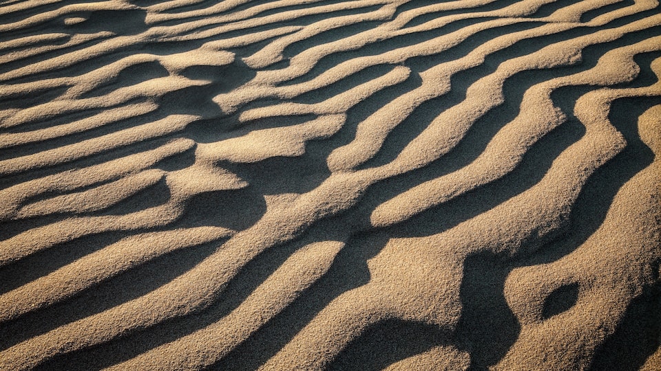 A close-up of sand ripples with shadows.