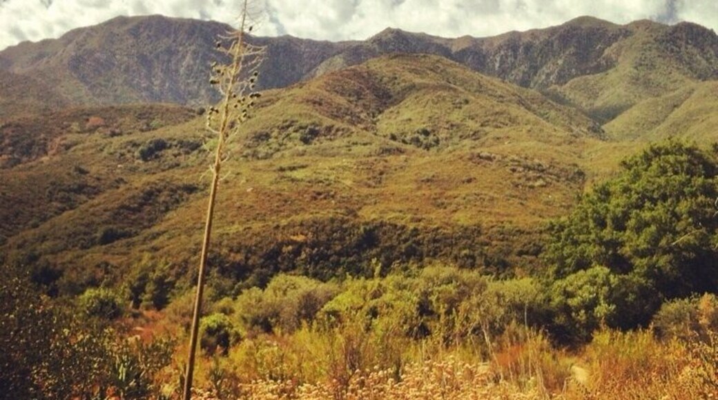 Ojai valley has beautiful hikes and wilderness camp sites.