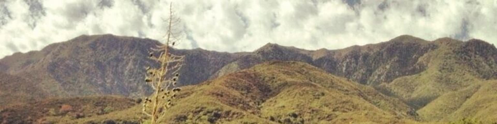 Ojai valley has beautiful hikes and wilderness camp sites.