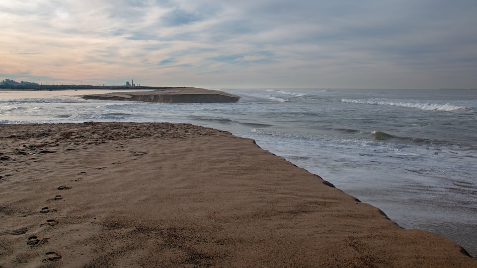 A beach with footprints leading to the water, waves crashing onto the shore, and a distant city skyline.
