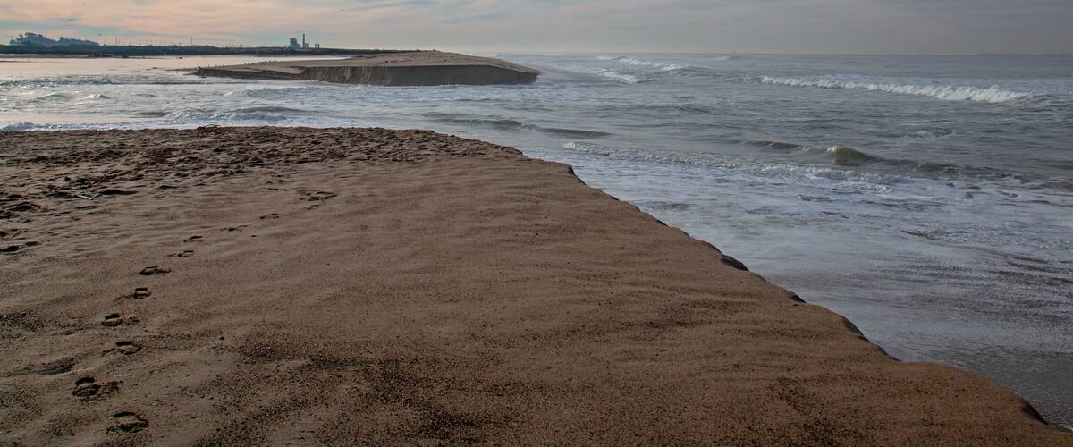 A beach with footprints leading to the water, waves crashing onto the shore, and a distant city skyline.